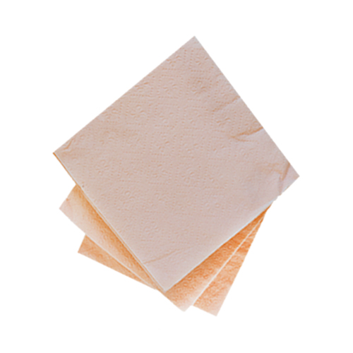 מפיות לאירוח 100 יח.jpg