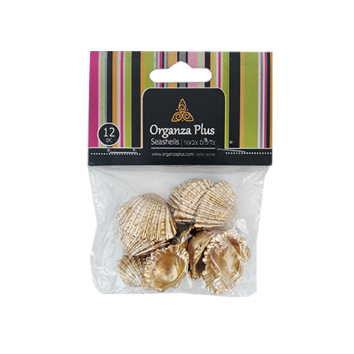 צדפים זהב.jpg