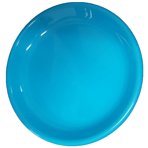 צלחת פלסטיק מידה 9 תכלת.jpg