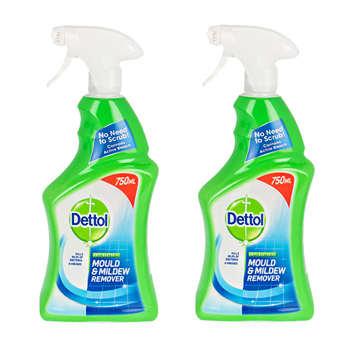 2 דטול עובש.jpg