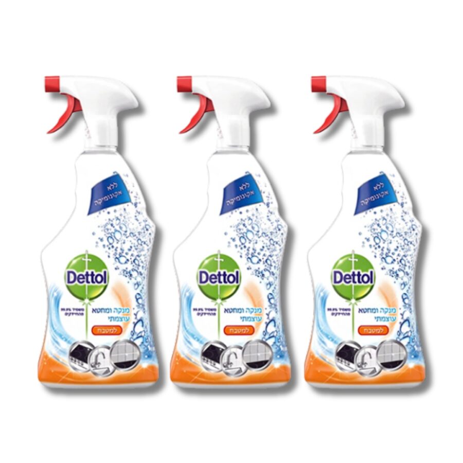 3 דטול מטבח.jpg