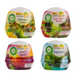 4 יח מטהר אויר מוצק.jpg