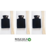 אייר ויק בוטינקה מוסדי.jpg