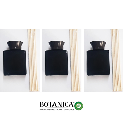 אייר ויק בוטינקה מוסדי.jpg