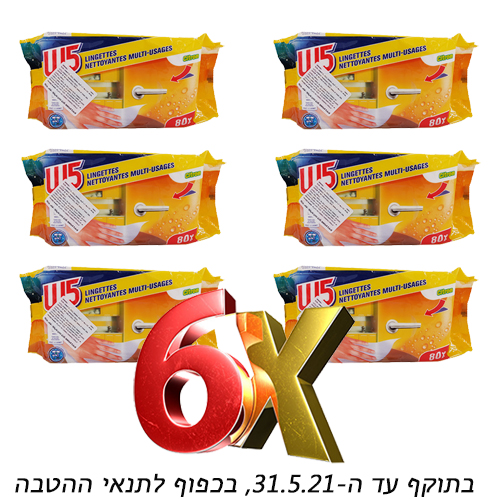 עודפי יצוא מגבונים לניקוי כללי 6 יח.jpg